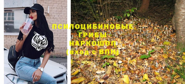 гидра Алексеевка