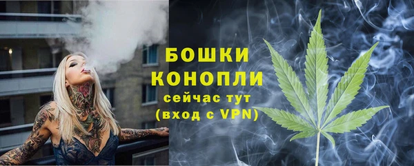 гидра Алексеевка