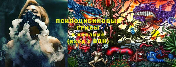 гидра Алексеевка