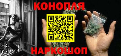 ешки Новодвинск