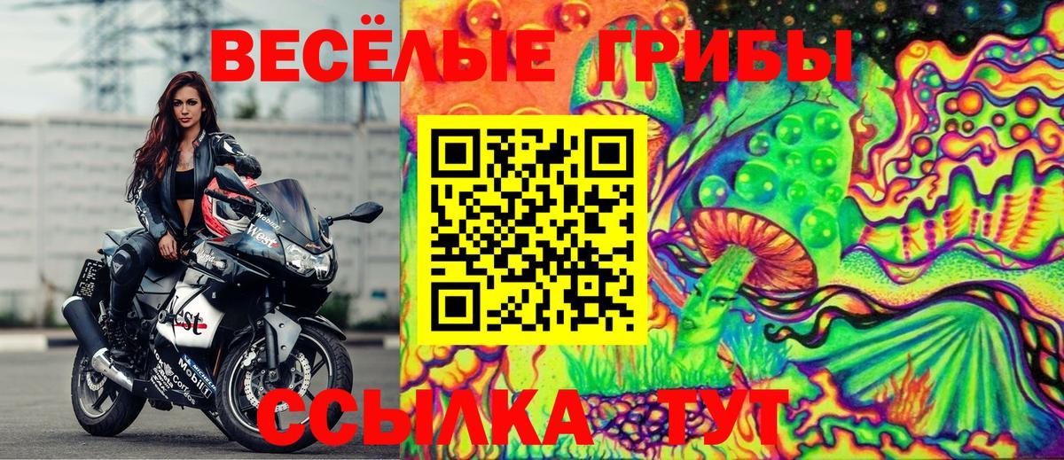 Галлюциногенные грибы Magic Shrooms Топки